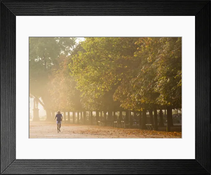 Framed Print : Tuileries Gardens, Paris, France Framed Print : Tuileries Gardens, Paris, France