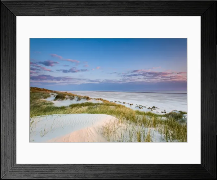 Framed Print : Dunes at dusk, Amrum Island, Northern Frisia, Schleswig-Holstein, Germany Framed Print : Dunes at dusk, Amrum Island, Northern Frisia, Schleswig-Holstein, Germany