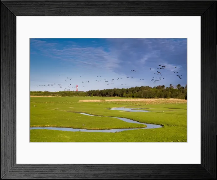 Framed Print : Salt marsh and lightroom, Amrum Island, Northern Frisia, Schleswig-Holstein, Germany