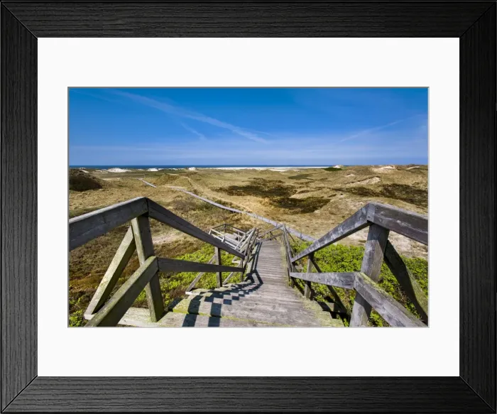 Framed Print : Wodden path in the dunes, Amrum Island, Northern Frisia, Schleswig-Holstein, Germany Framed Print : Wodden path in the dunes, Amrum Island, Northern Frisia, Schleswig-Holstein, Germany
