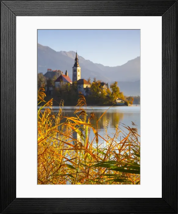 Framed Print : Bled Island (Blejski otok) with the Church of the Assumption (Cerkev Marijinega vnebovzetja) Framed Print : Bled Island (Blejski otok) with the Church of the Assumption (Cerkev Marijinega vnebovzetja)