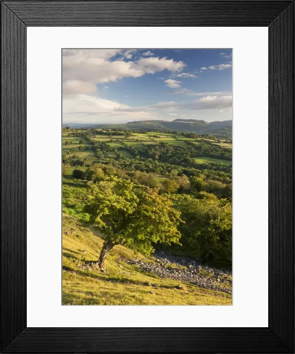 Framed Print : Rolling countryside surrounding the Usk Valley, Brecon Beacons National Park, Powys, Wales Framed Print : Rolling countryside surrounding the Usk Valley, Brecon Beacons National Park, Powys, Wales