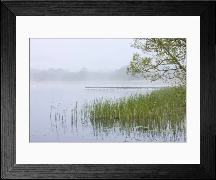 Framed Print : Early morning mist shrouds Llangorse Lake in the Brecon Beacons National Park, Powys, Wales Framed Print : Early morning mist shrouds Llangorse Lake in the Brecon Beacons National Park, Powys, Wales