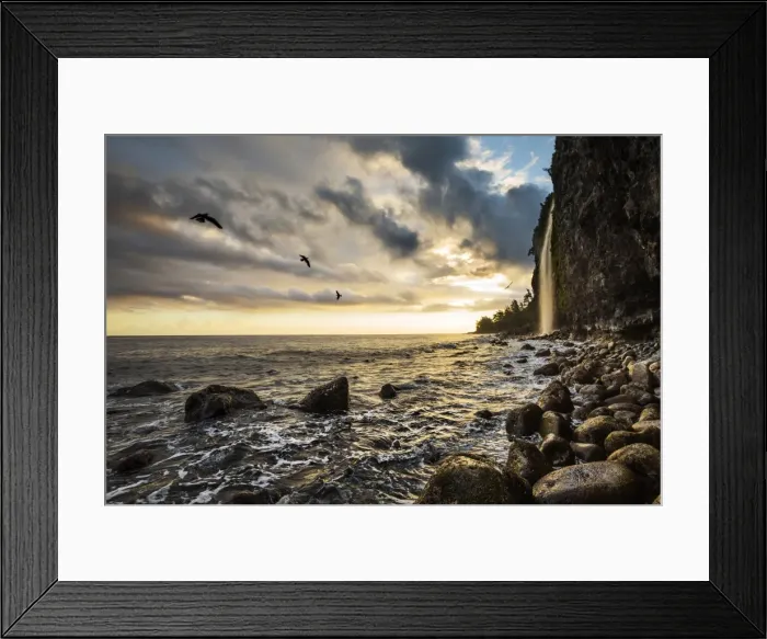 Framed Print : Sunrise from the bottom of Waipio Valley, in Koala coast, Big Island, Hawaii, USA