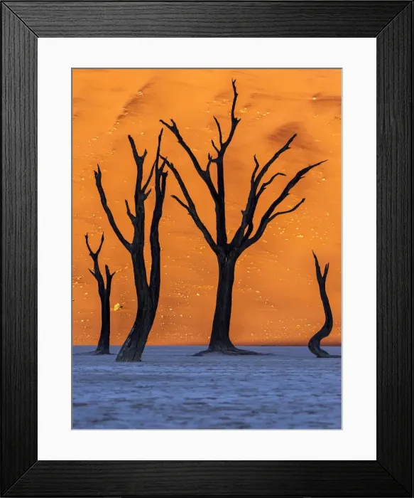 Framed Print : Sunrise from the Deadvlei, Sossusvlei, Namibia Framed Print : Sunrise from the Deadvlei, Sossusvlei, Namibia