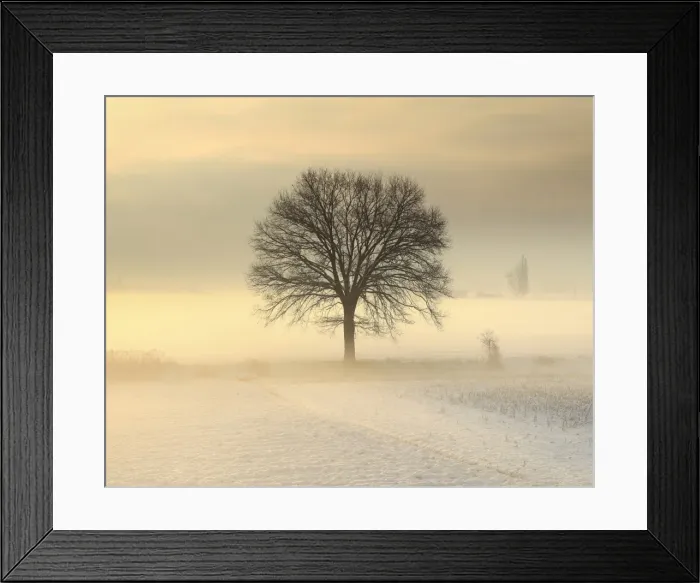 Framed Print : Po Valley, Piedmont, Italy. Piedmont countryside in winter in a cold and foggy morning Framed Print : Po Valley, Piedmont, Italy. Piedmont countryside in winter in a cold and foggy morning