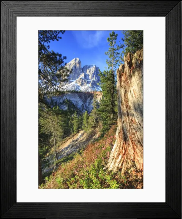 Framed Print : Sass de Putia in background enriched by colorful woods Framed Print : Sass de Putia in background enriched by colorful woods