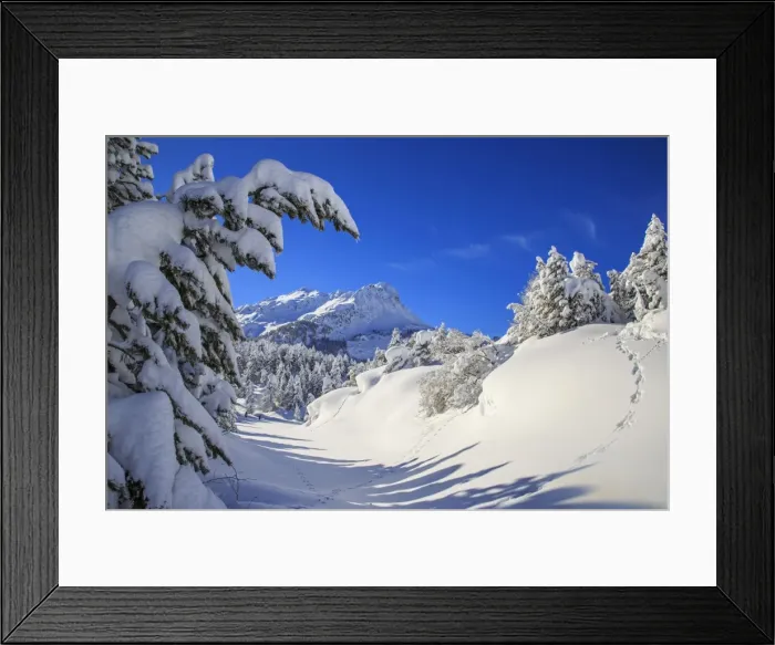 Framed Print : The winter sun shines on the snow covered woods and the landscape around Maloja Canton Framed Print : The winter sun shines on the snow covered woods and the landscape around Maloja Canton