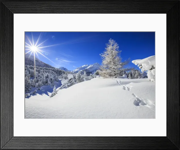 Framed Print : Rays of winter sun illuminate the snowy landscape around Maloja Canton of GraubA Aonden Framed Print : Rays of winter sun illuminate the snowy landscape around Maloja Canton of GraubA Aonden