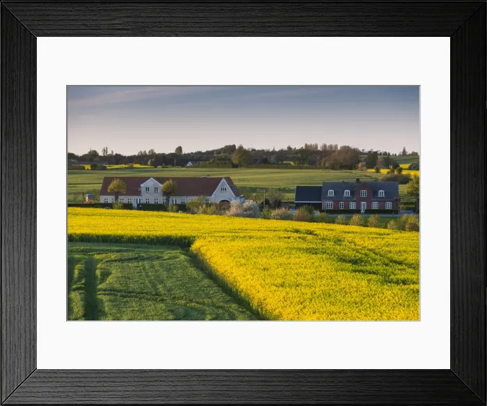 Framed Print : Denmark, Funen, Hindsholm Peninsula, Viby, elevated view of farm, springtime Framed Print : Denmark, Funen, Hindsholm Peninsula, Viby, elevated view of farm, springtime