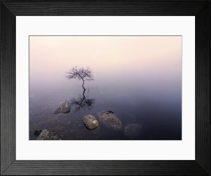 Framed Print : Ireland, Co. Donegal, tree reflected in Lough Dunlewey Framed Print : Ireland, Co. Donegal, tree reflected in Lough Dunlewey