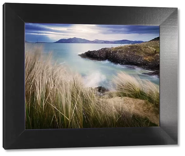 Ireland, Co. Donegal, Fanad, Ballymastoker bay and seagrass