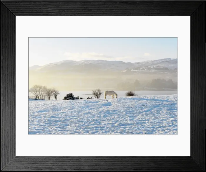 Framed Print : Ireland, Co. Donegal, Milford, snow covered landscape Framed Print : Ireland, Co. Donegal, Milford, snow covered landscape