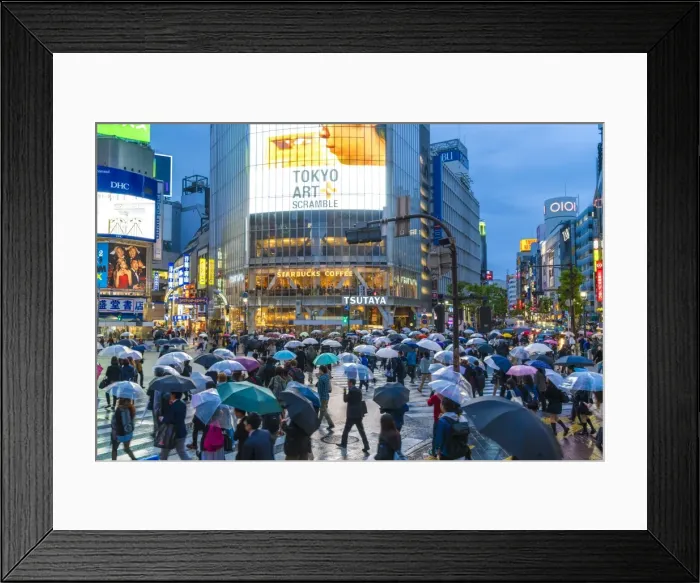 Framed Print : Pedestrians with umbrellas Shibuya Crossing, one of the busiest crossings in the world Framed Print : Pedestrians with umbrellas Shibuya Crossing, one of the busiest crossings in the world