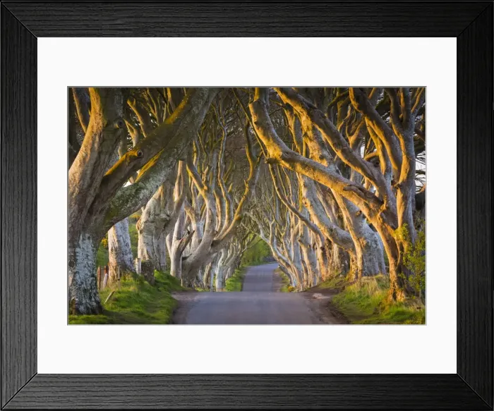 Framed Print : United Kingdom, Northern Ireland, County Antrim, Stranocum Framed Print : United Kingdom, Northern Ireland, County Antrim, Stranocum