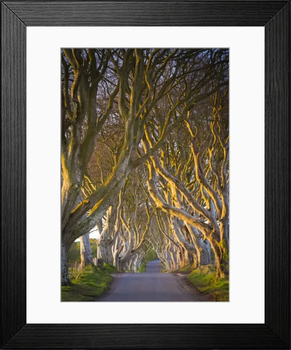 Framed Print : United Kingdom, Northern Ireland, County Antrim, Stranocum Framed Print : United Kingdom, Northern Ireland, County Antrim, Stranocum