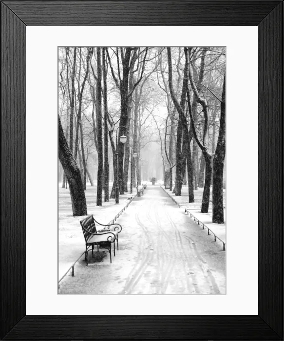 Framed Print : Mikhailovsky Gardens in winter, Saint Petersburg, Russia