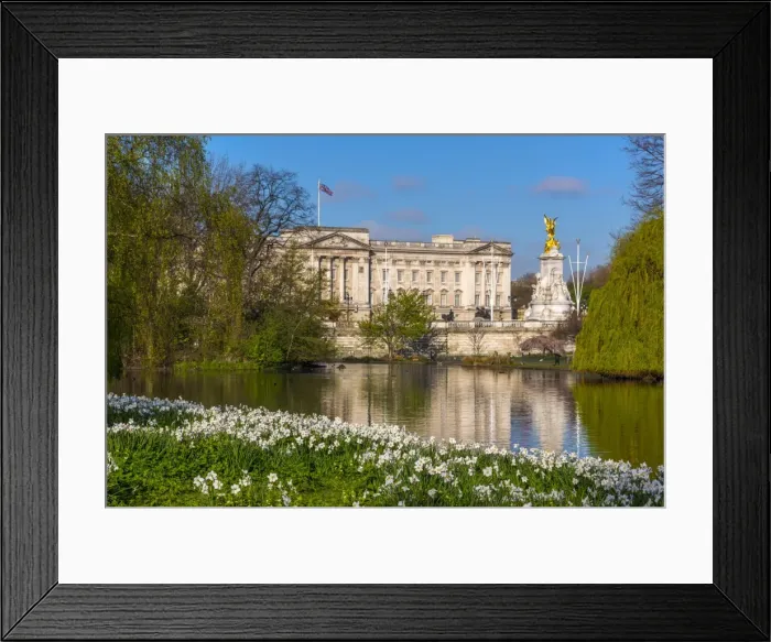 Framed Print : UK, England, London, Buckingham Palace from St Jamess Park Framed Print : UK, England, London, Buckingham Palace from St Jamess Park