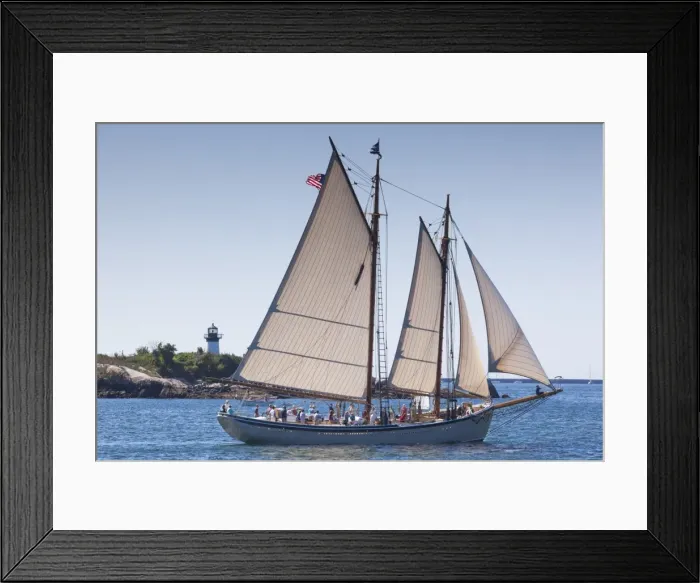 Framed Print : USA, Massachusetts, Cape Ann, Gloucester, annual Gloucester Schooner Festival, schooner Framed Print : USA, Massachusetts, Cape Ann, Gloucester, annual Gloucester Schooner Festival, schooner
