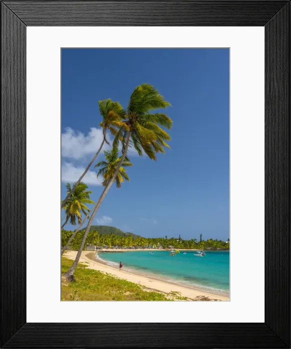 Framed Print : Caribbean, Antigua, Morris Bay, Morris Bay Beach Framed Print : Caribbean, Antigua, Morris Bay, Morris Bay Beach