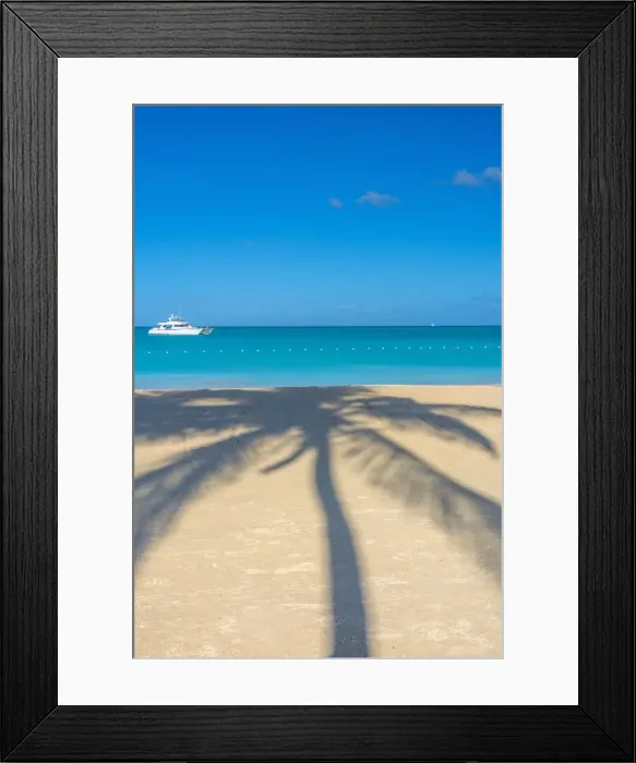 Framed Print : Antigua, Jolly Bay Beach, Palm Trees casting shadows Framed Print : Antigua, Jolly Bay Beach, Palm Trees casting shadows