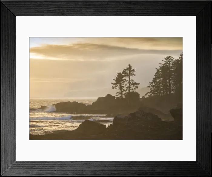Framed Print : Canada, British Columbia, Vancouver Island, Port Renfrew, Juan deFuca Provincal Park Framed Print : Canada, British Columbia, Vancouver Island, Port Renfrew, Juan deFuca Provincal Park