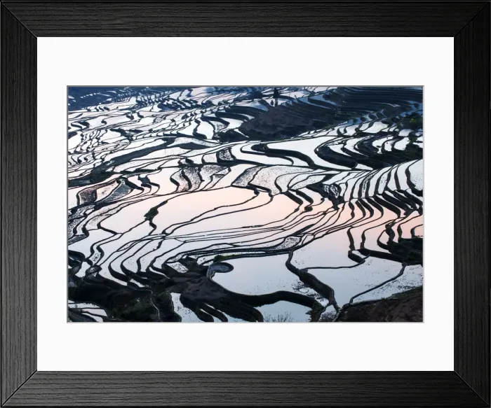 Framed Print : Rice terraces in Yuanyang, Yunnan, China Framed Print : Rice terraces in Yuanyang, Yunnan, China