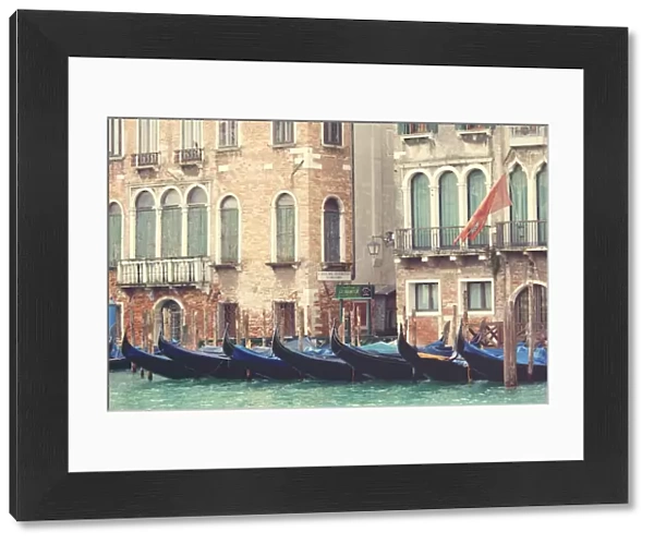 Parked gondolas along the Grand Canal of Venice, Veneto, Venice district, Italy