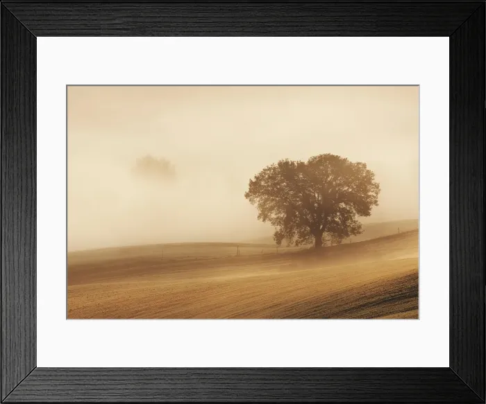 Framed Print : Orcia Valley, Tuscany, Italy
