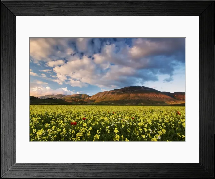 Framed Print : Castelluccio di Norcia, Sibillini national park, Umbria, Italy Framed Print : Castelluccio di Norcia, Sibillini national park, Umbria, Italy