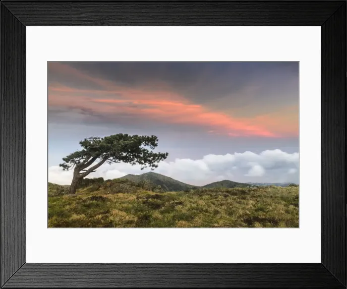 Framed Print : Sunset over Arenzano, Liguria, Italy Framed Print : Sunset over Arenzano, Liguria, Italy