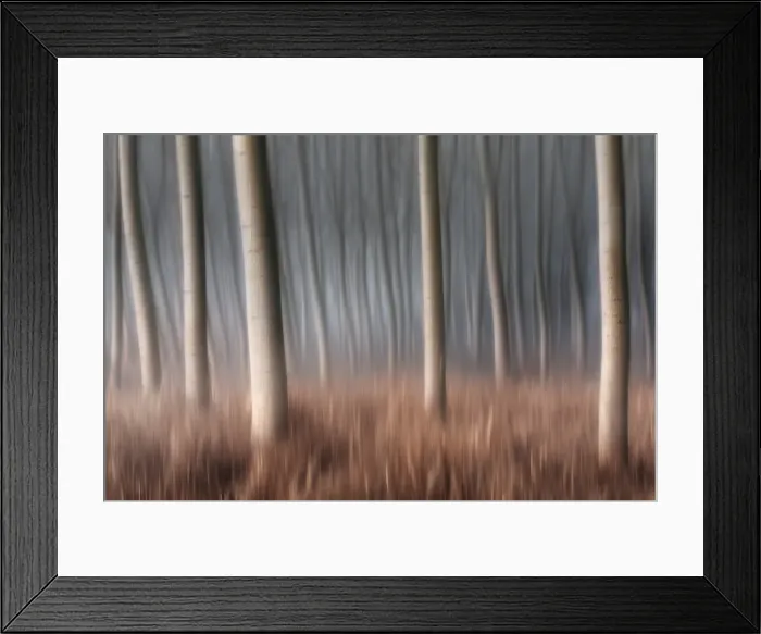 Framed Print : Plain Piedmont, Piedmont, Italy. Autumn abstract poplars