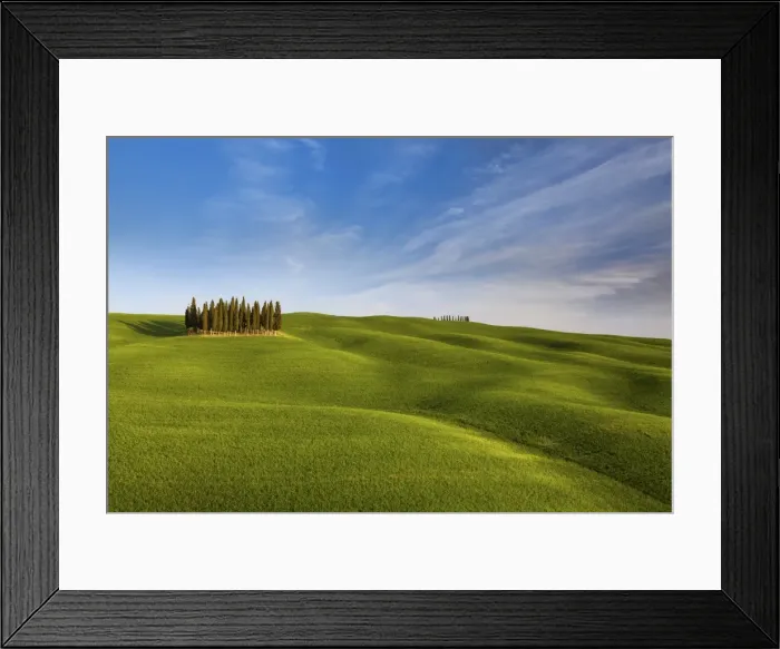 Framed Print : Iconic cypresses in Torrenieri country, Orcia valley, Tuscany, Italy Framed Print : Iconic cypresses in Torrenieri country, Orcia valley, Tuscany, Italy