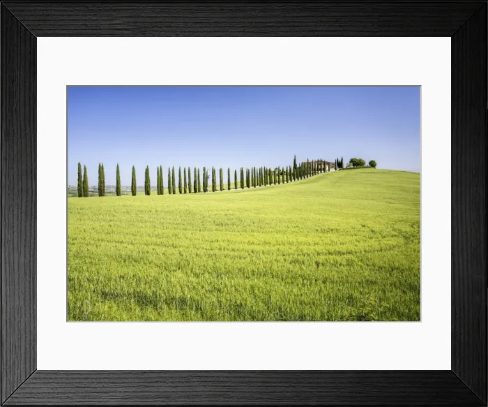 Framed Print : Road with cypresses and farmhouse. Orcia Valley, Siena district, Tuscany, Italy Framed Print : Road with cypresses and farmhouse. Orcia Valley, Siena district, Tuscany, Italy