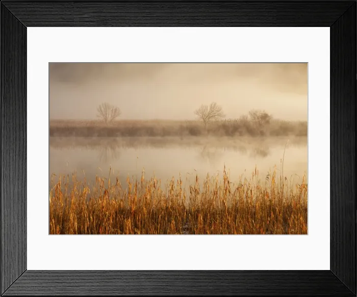 Framed Print : Brivio, Adda north park, Lombardy, Italy. Fog over the Adda river and three trees Framed Print : Brivio, Adda north park, Lombardy, Italy. Fog over the Adda river and three trees