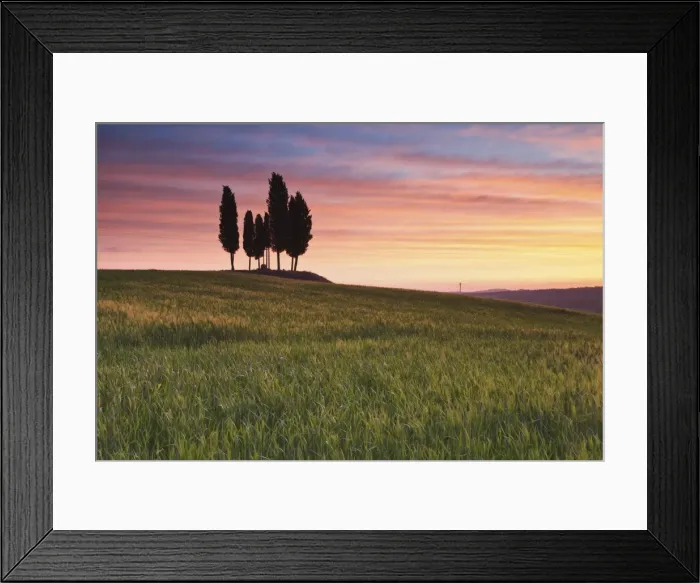 Framed Print : San Quirico, Orcia valley, Tuscany, Italy. Cypresses at sunrise Framed Print : San Quirico, Orcia valley, Tuscany, Italy. Cypresses at sunrise