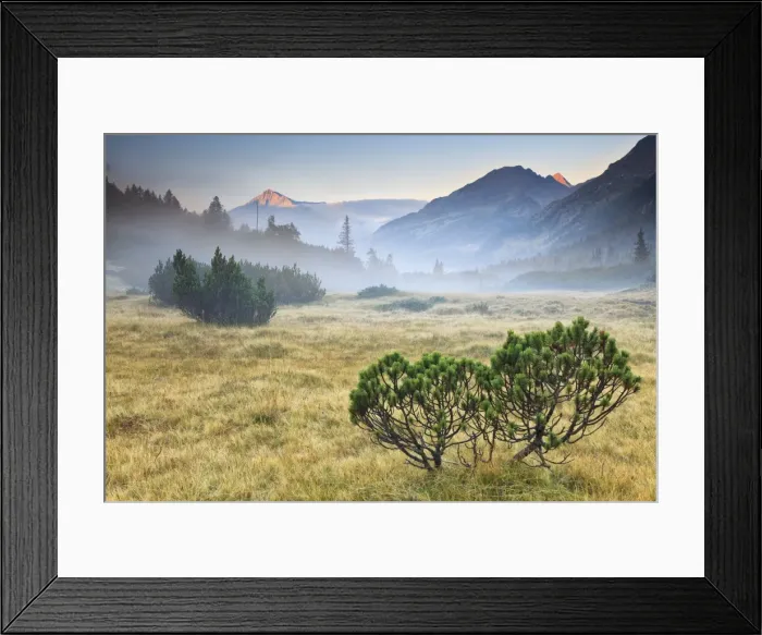 Framed Print : Fumo valley, Adamello-Brenta natural park, Trentino Alto Adige, Italy Framed Print : Fumo valley, Adamello-Brenta natural park, Trentino Alto Adige, Italy