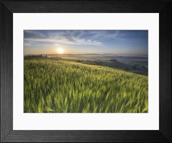 Framed Print : Val d orcia - Tuscany, Italy Framed Print : Val d orcia - Tuscany, Italy