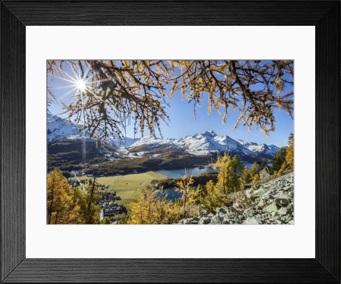 Framed Print : Red autumn larches hide the sun by Lake Sils. Engadine. Switzerland