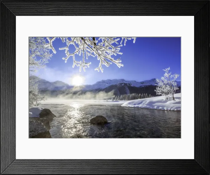 Framed Print : Sun illuminates tree branches covered with frost along the river Inn. Sils. Engadine Framed Print : Sun illuminates tree branches covered with frost along the river Inn. Sils. Engadine