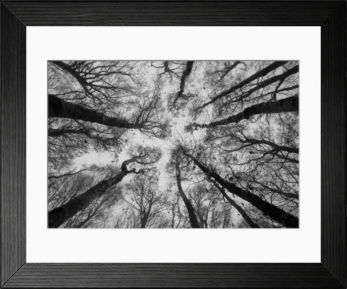 Framed Print : Sassofratino Reserve, Foreste Casentinesi National Park, Badia Prataglia, Tuscany, Italy, Europe