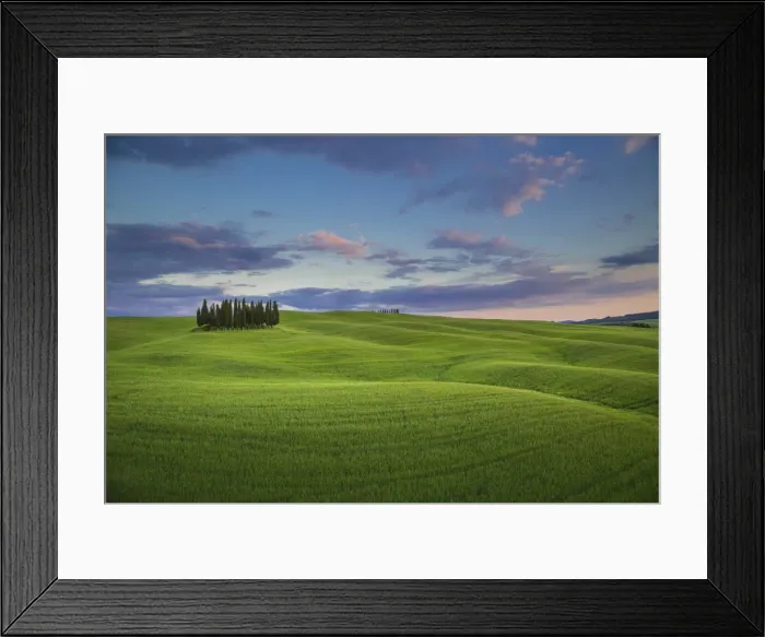 Framed Print : San Quirico d Orcia, Tuscany, Italy. Cypresses at sunset