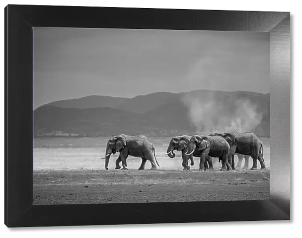 Amboseli Park, Kenya, Africa A family of elephants in Amboseli Kenya