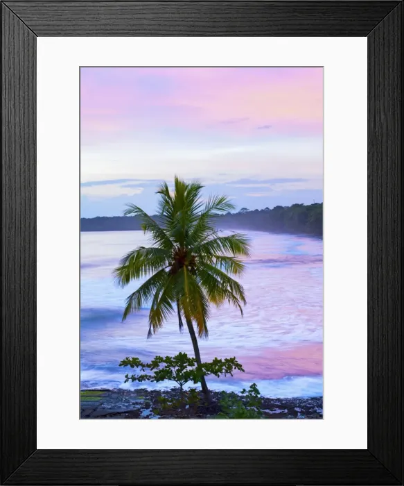 Framed Print : Costa Rica, Cahuita, Cahuita National Park, Lowland Tropical Rainforest, Caribbean Coast Framed Print : Costa Rica, Cahuita, Cahuita National Park, Lowland Tropical Rainforest, Caribbean Coast