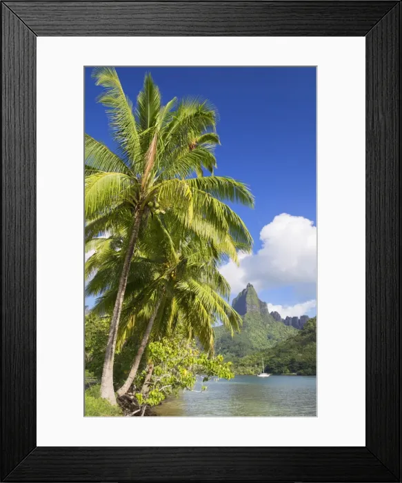 Framed Print : Opunohu Bay, Mo orea, Society Islands, French Polynesia