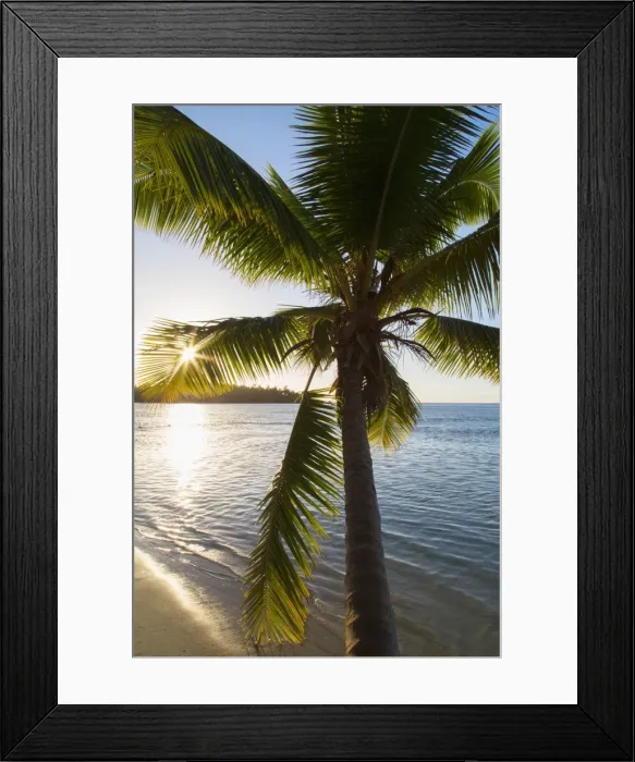 Framed Print : Palm tree on beach at Hauru Point, Mo orea, Society Islands, French Polynesia Framed Print : Palm tree on beach at Hauru Point, Mo orea, Society Islands, French Polynesia