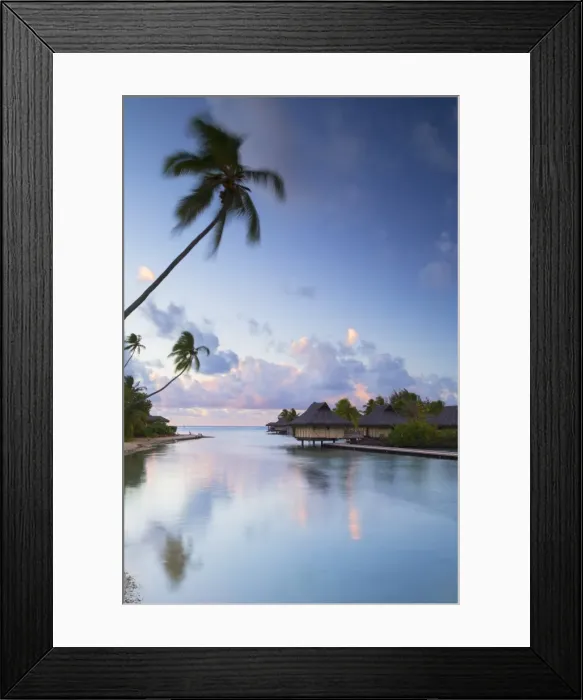 Framed Print : Overwater bungalows of Intercontinental Mo orea Resort, Hauru Point, Moorea, Society Islands Framed Print : Overwater bungalows of Intercontinental Mo orea Resort, Hauru Point, Moorea, Society Islands