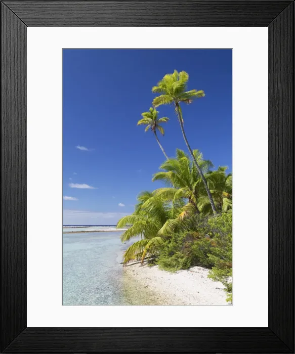 Framed Print : Beach at Tetamanu, Fakarava, Tuamotu Islands, French Polynesia Framed Print : Beach at Tetamanu, Fakarava, Tuamotu Islands, French Polynesia
