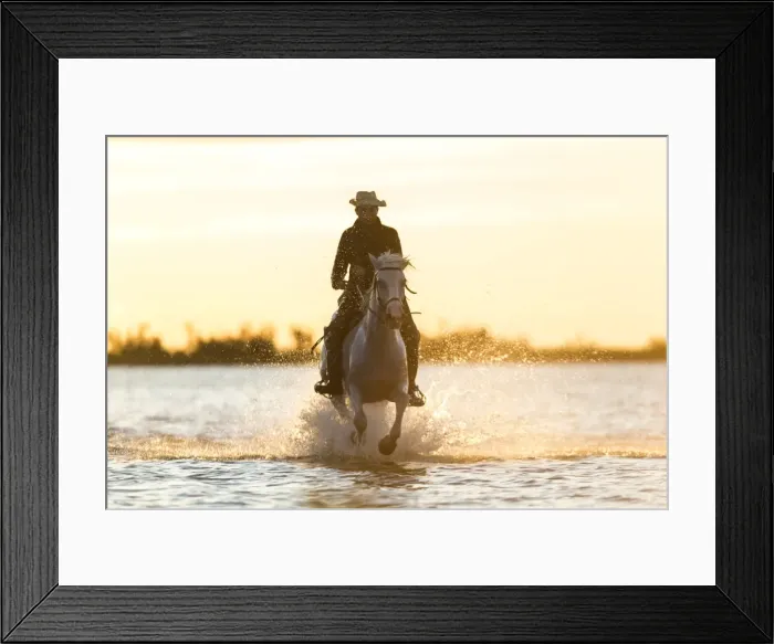 Framed Print : Gardian, cowboy & horseman of the Camargue, Camargue, France Framed Print : Gardian, cowboy & horseman of the Camargue, Camargue, France
