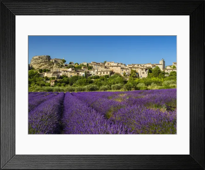 Framed Print : View of village of Saignon with field of lavander in bloom, Provence, France Framed Print : View of village of Saignon with field of lavander in bloom, Provence, France